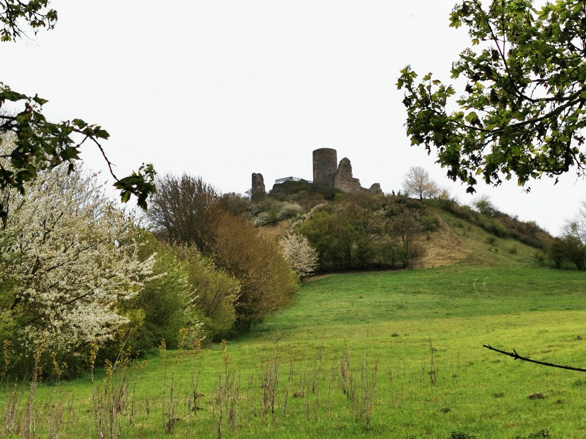 Burg Desenberg bei&nbsp;Warburg