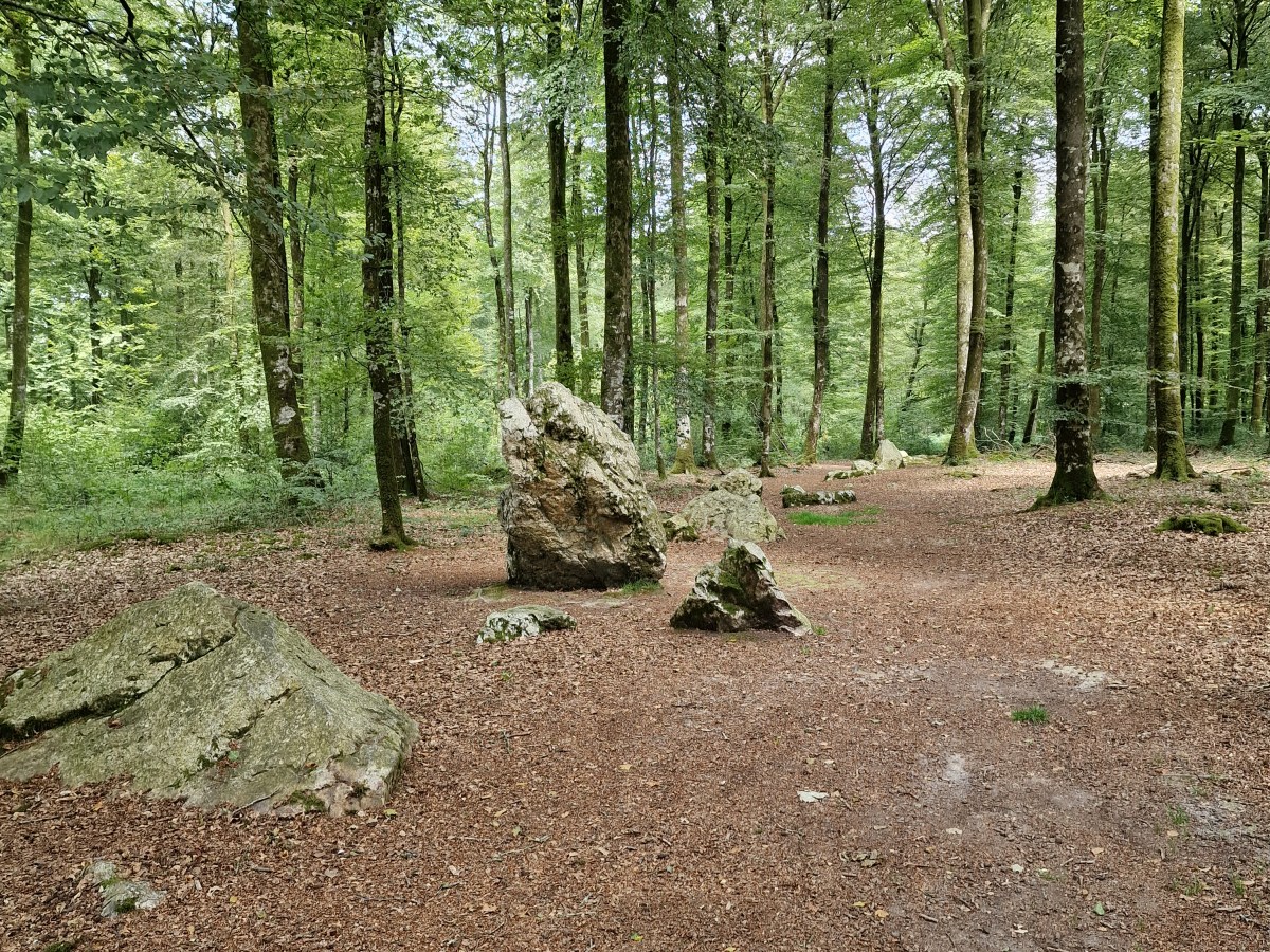 Le Cordon des Druides – Druidenlinie im Wald von&nbsp;Fougères