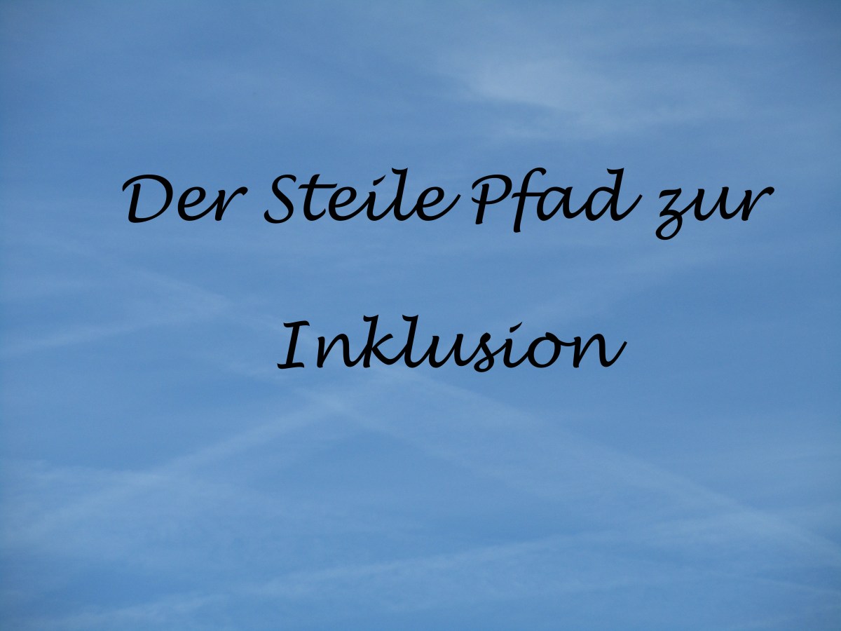 Der Steile Pfad zur&nbsp;Inklusion