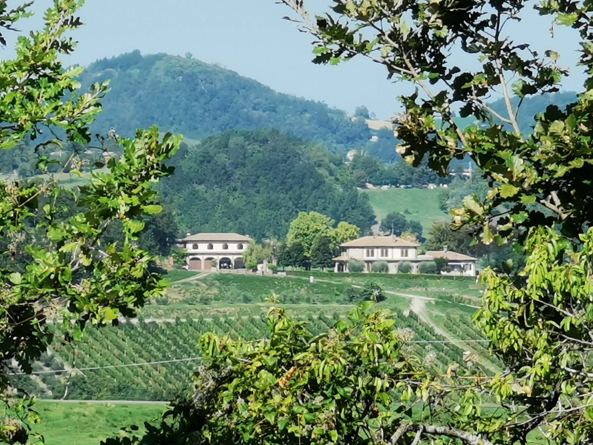 Zwischen sanften Hügeln und heilenden Quellen – Die Landschaft rund um Salsomaggiore&nbsp;Terme