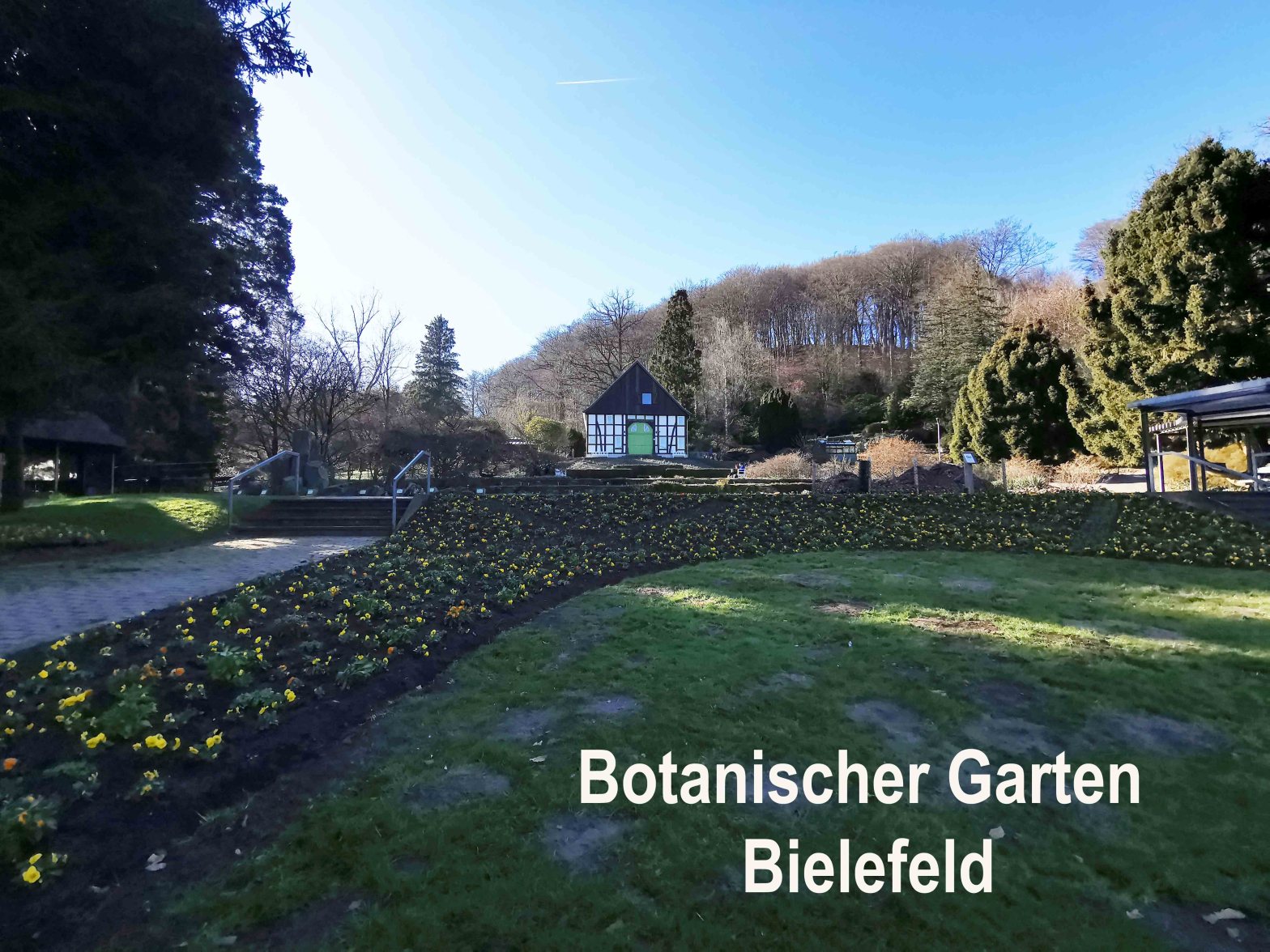 **Barrierefreiheit mit Einschränkungen – Ein Erfahrungsbericht**