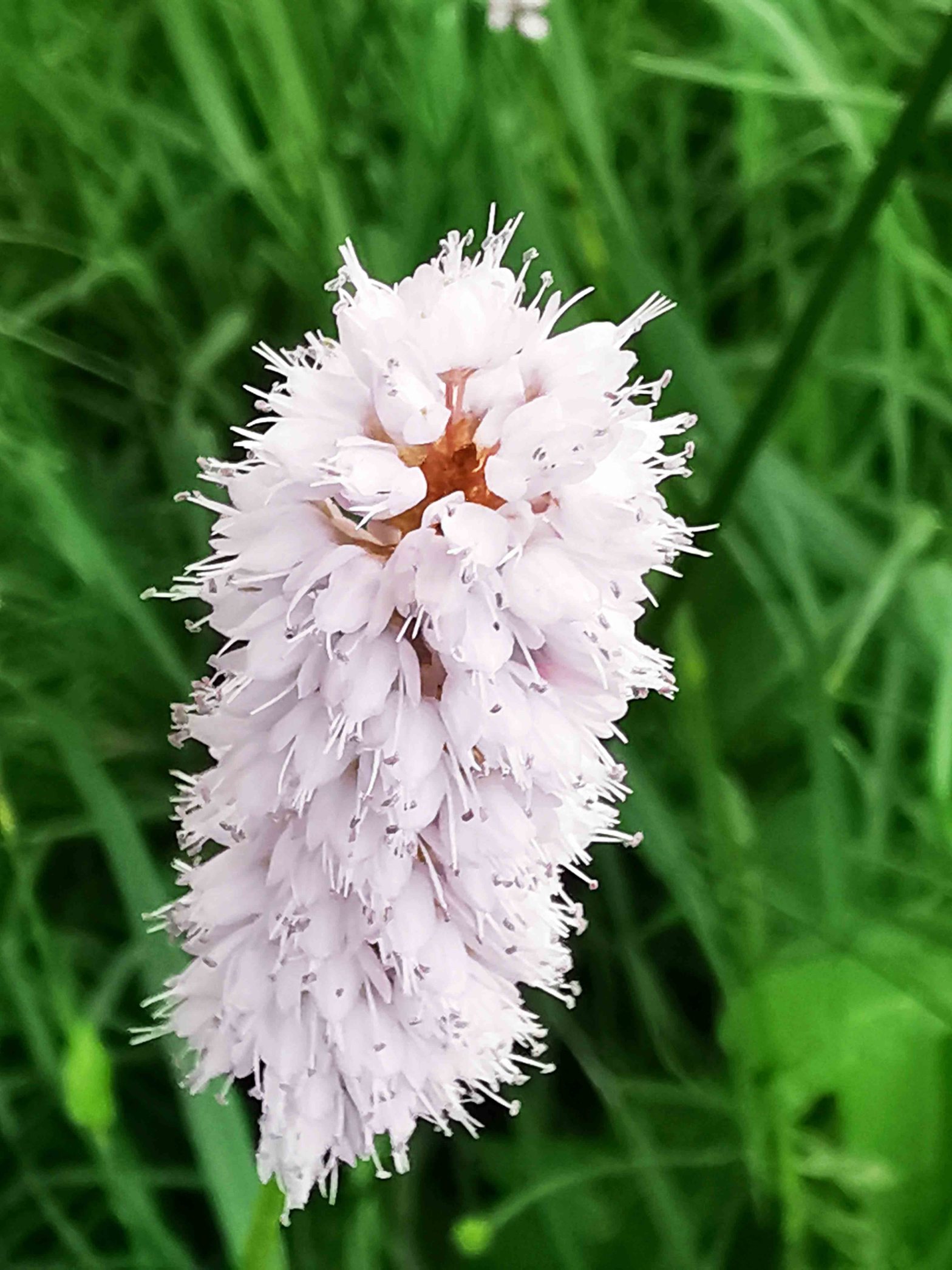 Wir brauchen mehr Bewusstsein dafür, dass Inklusion kein Extra ist, sondern ein Menschenrecht.
