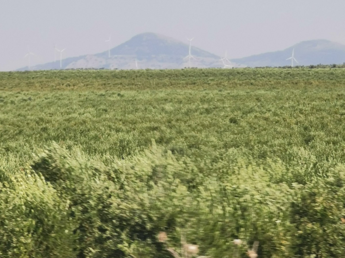 Meine Reise durch Europa – barrierefrei, barrierearm oder rollstuhlgerecht?Von der Atlantikküste bis nach Andalusien – meine ganz persönliche Entdeckungsreise