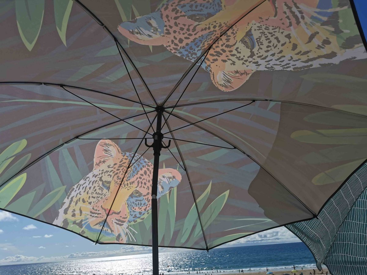 Plage des Sablères – der wilde Strand von&nbsp;Vieux-Boucau