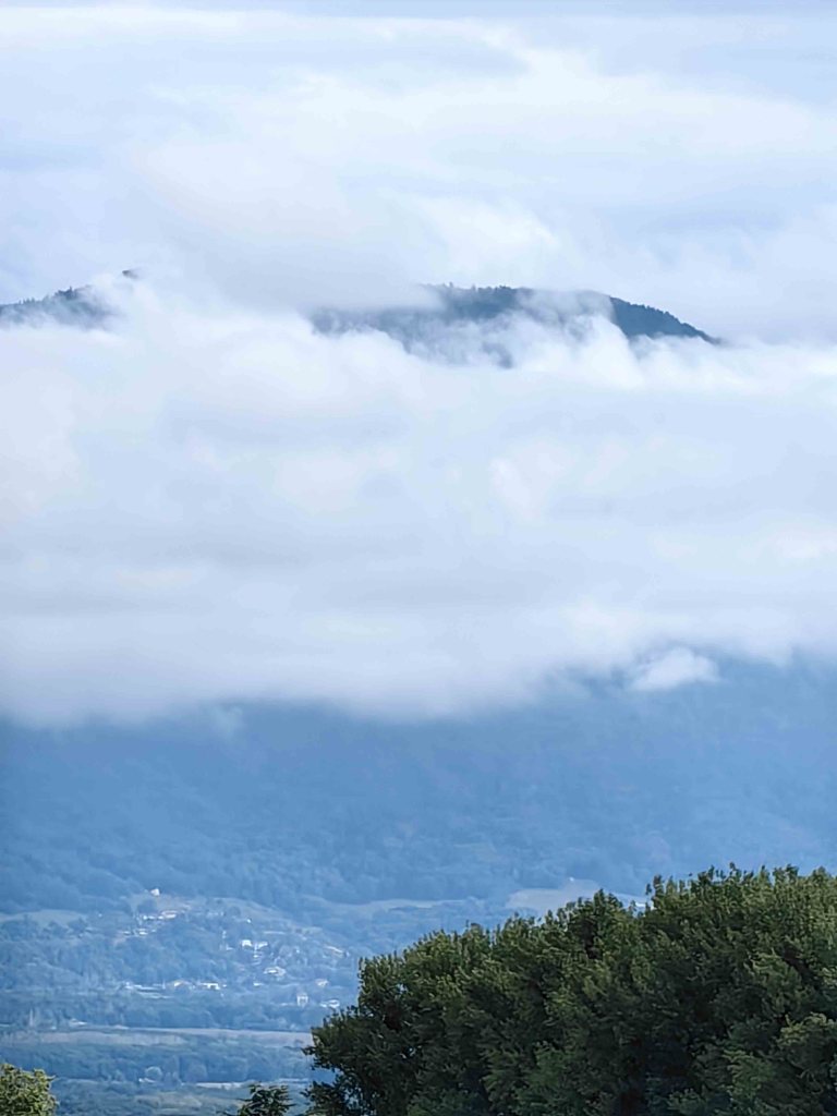 Unsere Route führte uns entlang der Mittelmeerküste bis nach Granada, wo wir die atemberaubende Alhambra, UNESCO-Weltkulturerbe, besichtigt haben. Danach weiter nach Valencia und Barcelona, bevor wir in Frankreich in Avignon und Grenoble Station machten. Einen letzten Stopp legten wir am Genfer See in der Schweiz ein – natürlich mit Kamera bewaffnet, um die traumhaften Eindrücke festzuhalten.