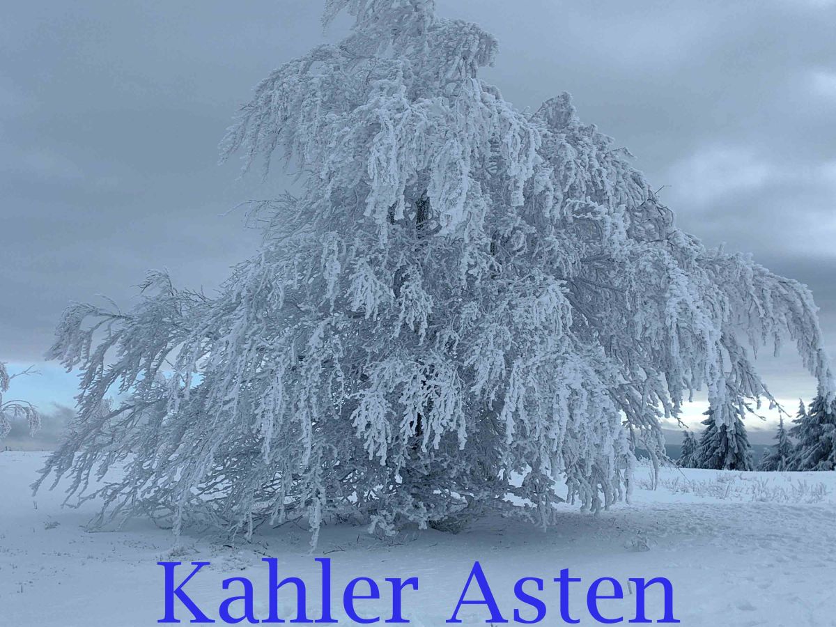 ❄️ Winterzauber auf dem Kahlen Asten – unterwegs im Rollstuhl bei eisiger&nbsp;Schönheit
