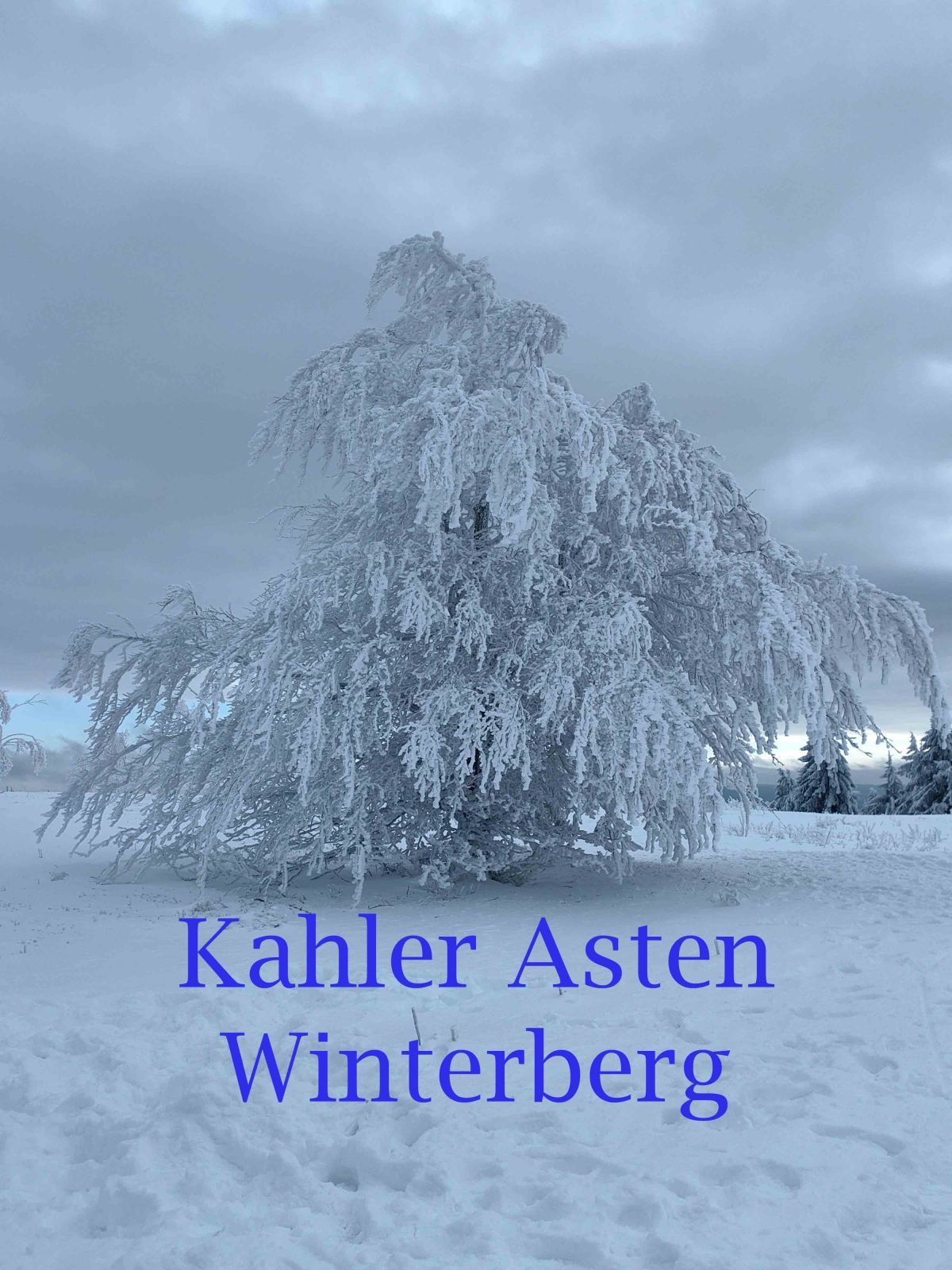 ❄️ Winterzauber auf dem Kahlen Asten – unterwegs im Rollstuhl bei eisiger&nbsp;Schönheit