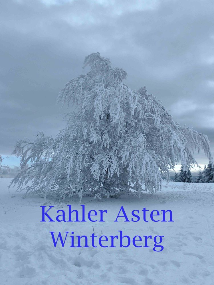 ❄️ Winterzauber auf dem Kahlen Asten – unterwegs im Rollstuhl bei eisiger&nbsp;Schönheit