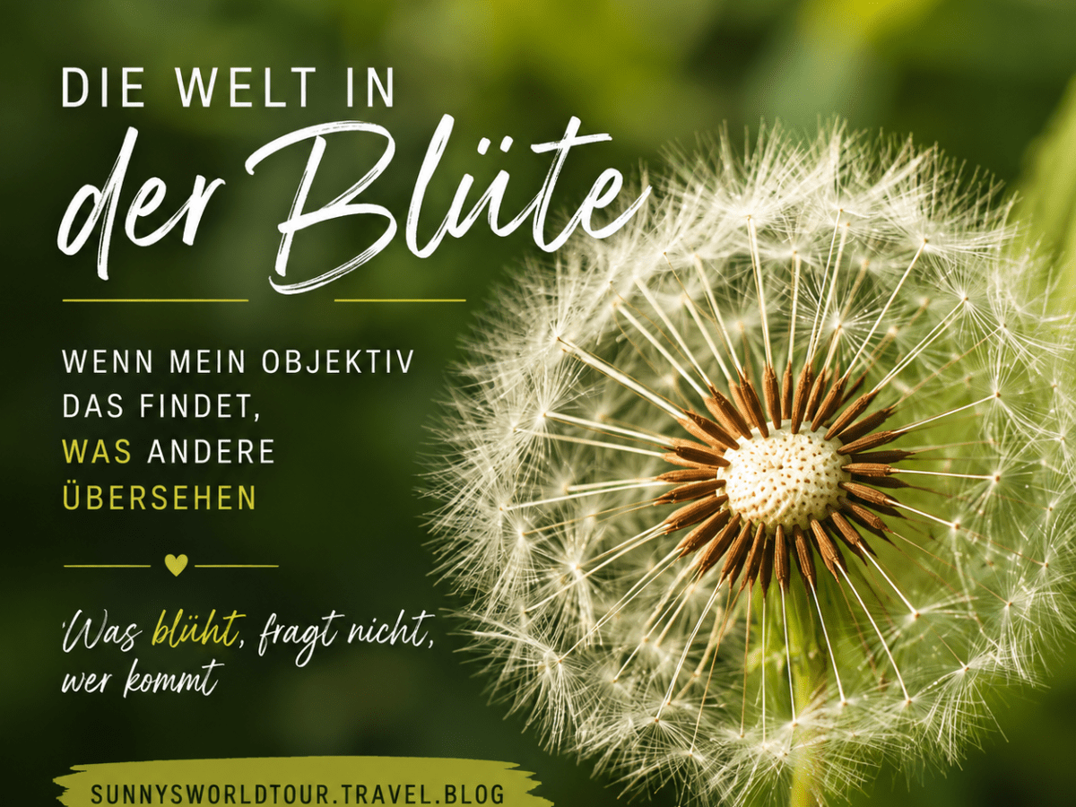 Die Welt in der Blüte — Wenn mein Objektiv das findet, was andere übersehen  — Was blüht, fragt nicht, wer&nbsp;kommt