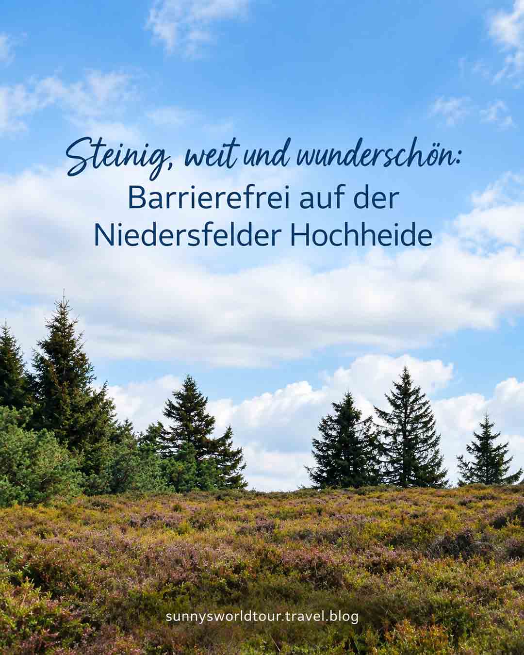 Steinig, weit und wunderschön: Barrierefrei auf der Niedersfelder&nbsp;Hochheide